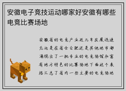 安徽电子竞技运动哪家好安徽有哪些电竞比赛场地
