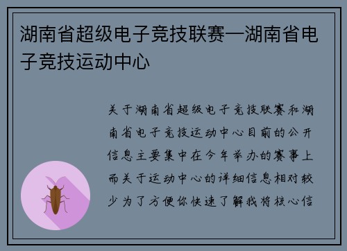 湖南省超级电子竞技联赛—湖南省电子竞技运动中心